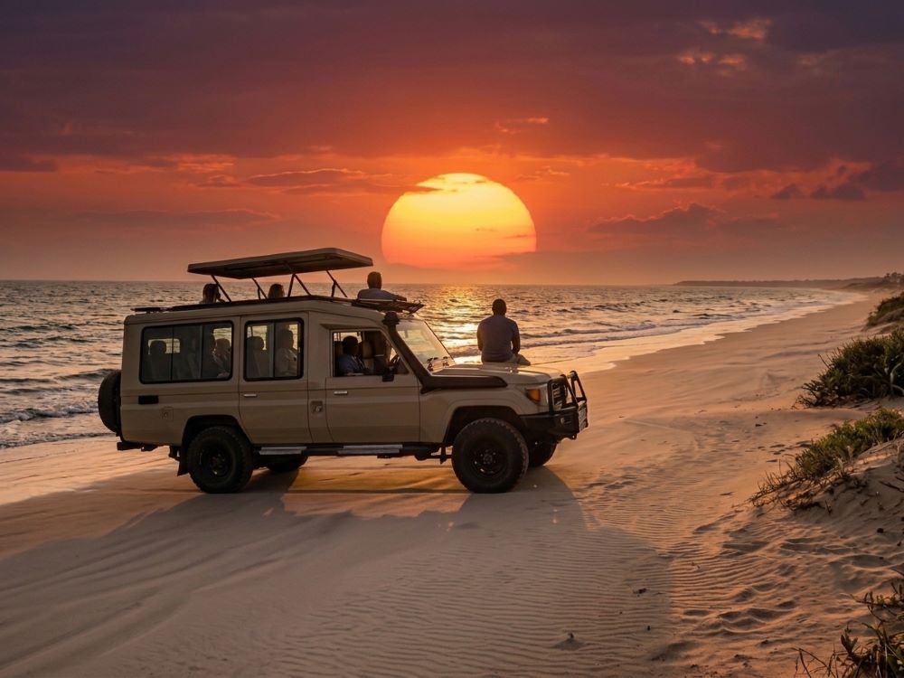 Safari vehicle on one side, white sand beach on the other